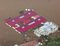 Hậu quả khủng khiếp mà bão 