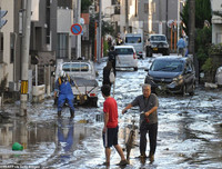 Hậu quả khủng khiếp mà bão 