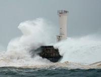 Hậu quả khủng khiếp mà bão 