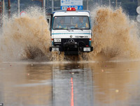 Hậu quả khủng khiếp mà bão 