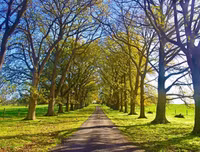 [ẢNH] Mãn nhãn bộ ảnh 1111 ngày vòng quanh thế giới bằng xe máy của Trần Đặng Đăng Khoa (P2)