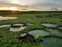 [ẢNH] Mãn nhãn bộ ảnh 1111 ngày vòng quanh thế giới bằng xe máy của Trần Đặng Đăng Khoa (P2)