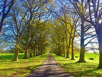 [ẢNH] Mãn nhãn bộ ảnh 1111 ngày vòng quanh thế giới bằng xe máy của Trần Đặng Đăng Khoa (P2)