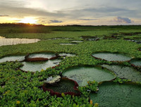 [ẢNH] Mãn nhãn bộ ảnh 1111 ngày vòng quanh thế giới bằng xe máy của Trần Đặng Đăng Khoa (P2)