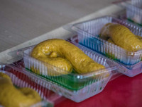 [ẢNH] Những đặc sản 