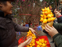 [ẢNH] Sính của lạ, dân Thủ đô mua nhầm cả 