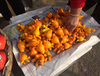 [ẢNH] Sính của lạ, dân Thủ đô mua nhầm cả 