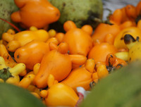 [ẢNH] Sính của lạ, dân Thủ đô mua nhầm cả 