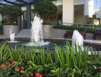 [ẢNH] Hút tài lộc vào nhà nhờ những mẹo phong thủy đơn giản