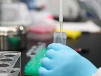 [ẢNH] Những phát hiện khoa học quan trọng của các nước về virus corona