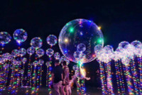 [ẢNH] Cảnh giác với những món đồ nguy hiểm dịp Giáng sinh