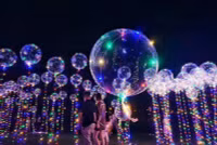 [ẢNH] Cảnh giác với những món đồ nguy hiểm dịp Giáng sinh