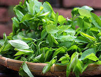 Những thực phẩm mẹ bầu 