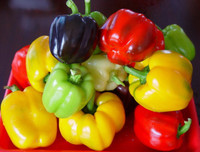 Những thực phẩm mẹ bầu 