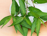 Những thực phẩm mẹ bầu 