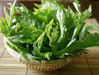 Những thực phẩm mẹ bầu 