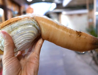 [ẢNH] 6 món đặc sản biển gây ấn tượng bởi vẻ ngoài 