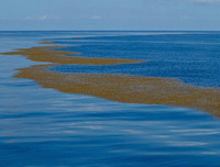 [ẢNH] Địa điểm 