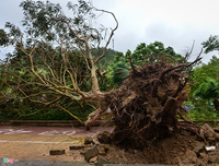 Ảnh hưởng bão số 2: Cầu sập, kênh vỡ, 5 người thương vong