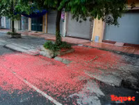 [ẢNH] Người Hà Nội tiếc nuối mùa hoa lộc vừng đỏ 