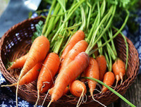 [ẢNH] Những thực phẩm giúp thanh lọc cơ thể cực tốt vào mùa hè không thể bỏ qua