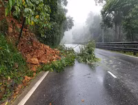 Hiện trường sạt lở nghiêm trọng ở đèo Bảo Lộc, giao thông tê liệt