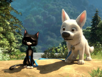 [ẢNH] Nhìn từ phim Cậu vàng điểm lại những bộ phim cảm động nhất mọi thời đại về loài chó