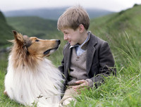 [ẢNH] Nhìn từ phim Cậu vàng điểm lại những bộ phim cảm động nhất mọi thời đại về loài chó