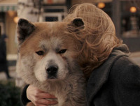 [ẢNH] Nhìn từ phim Cậu vàng điểm lại những bộ phim cảm động nhất mọi thời đại về loài chó