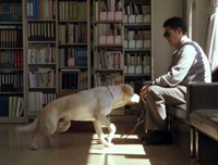 [ẢNH] Nhìn từ phim Cậu vàng điểm lại những bộ phim cảm động nhất mọi thời đại về loài chó