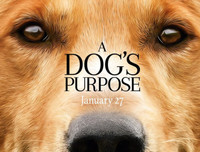 [ẢNH] Nhìn từ phim Cậu vàng điểm lại những bộ phim cảm động nhất mọi thời đại về loài chó