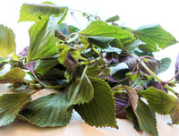 [ẢNH] Những điều 