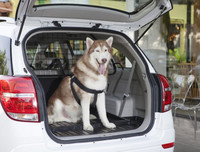 [ẢNH] Sử dụng điều hoà và vệ sinh ô tô đúng cách phòng chống lây nhiễm Covid-19