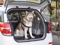 [ẢNH] Sử dụng điều hoà và vệ sinh ô tô đúng cách phòng chống lây nhiễm Covid-19