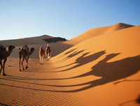 [ẢNH] Khám phá những vùng đất có nhiệt độ 