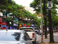 [Ảnh] Bất ngờ trước nguyên nhân khiến hoa sữa Hà Nội nở giữa hè nắng cháy