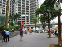 [Ảnh] Bất ngờ trước nguyên nhân khiến hoa sữa Hà Nội nở giữa hè nắng cháy