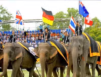 Ngoài chọi trâu, trên thế giới còn những môn thi đấu kỳ dị nào dành cho động vật?