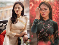 Hé lộ mức cát - xê bất ngờ của dàn diễn viên 