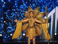 Những trang phục dân tộc Việt Nam từng chinh chến tại Miss Universe