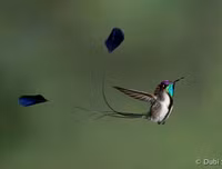 [ẢNH] Khám phá những 