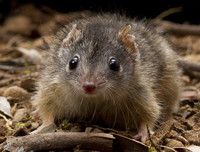 [ẢNH] Khám phá những 