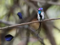 [ẢNH] Khám phá những 