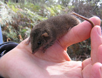 [ẢNH] Khám phá những 