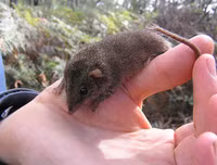 [ẢNH] Khám phá những 