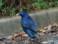 [ẢNH] Khám phá những 