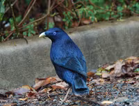 [ẢNH] Khám phá những 