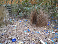 [ẢNH] Khám phá những 