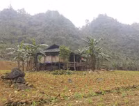 Cuộc sống đói nghèo trong những gia đình 