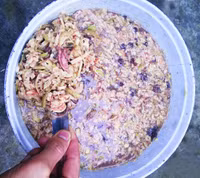 [ẢNH] Ngỡ ngàng những món ăn Tết 